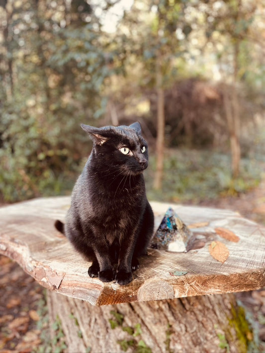 New Earth Pyramid Orgonite vibrations