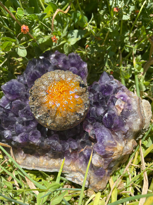 Everlasting straw flower Orgonite