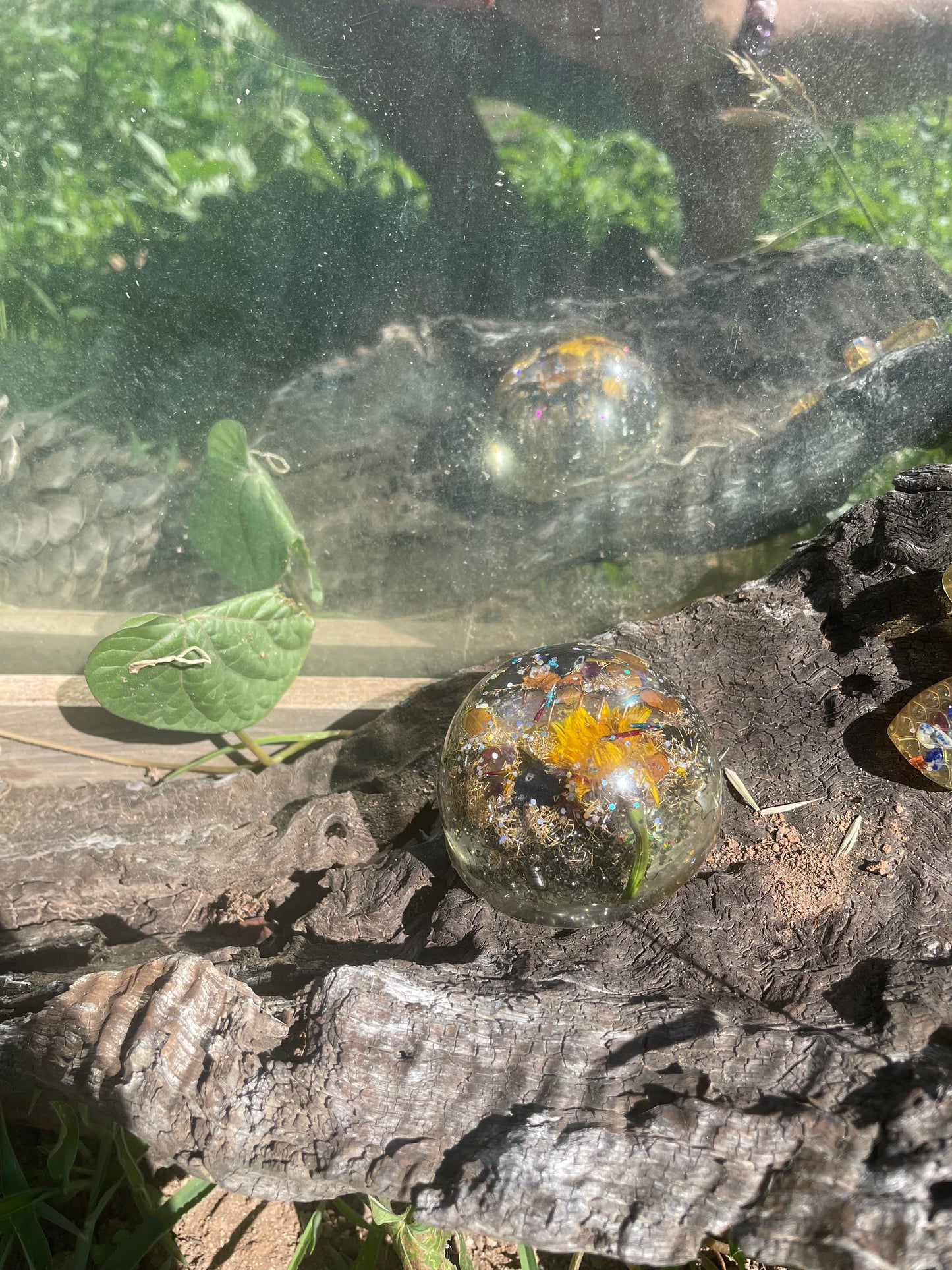 Dandelion Dreaming Dome Orgonite