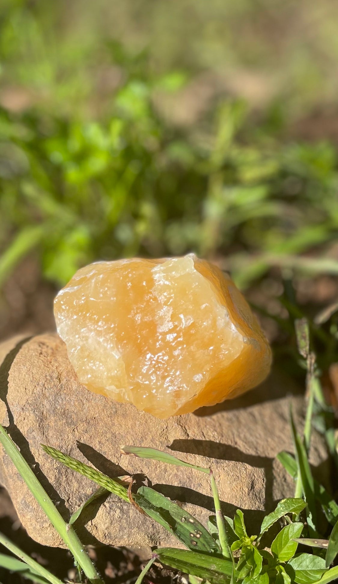 Calcite Yellow (Mexico)